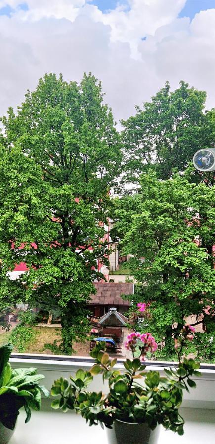 Brassy Apartment リガ エクステリア 写真